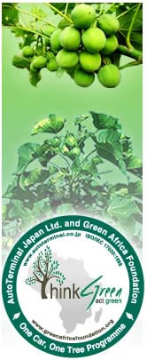 One Car, One Tree Programme