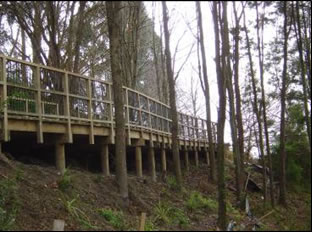 Planting our Future Programme