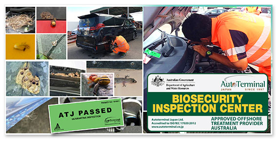 DAFF Biosecurity Inspection