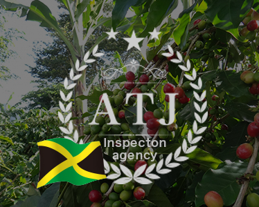 Jamaica – Pre-shipment Inspection (PSI)
