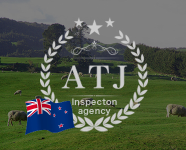 New Zealand – NZTA Inspection